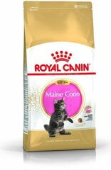 Royal Canin корм для породы котят Мейн Кун, 2 кг цена и информация | Сухой корм для кошек | hansapost.ee