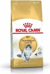 Royal Canin корм для породы Норвежская лесная кошка Norvegian, 2 кг цена и информация | Сухой корм для кошек | hansapost.ee