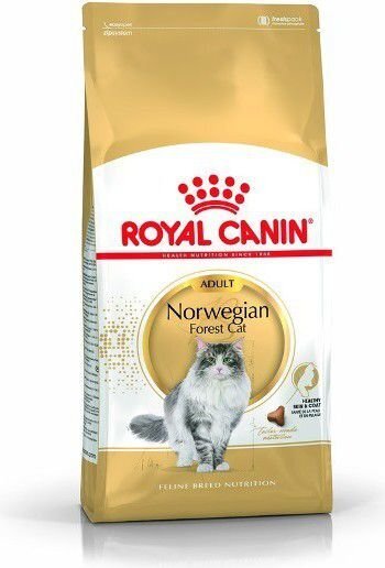 Royal Canin Norra metskassidele Norvegian, 2 kg цена и информация | Kassi kuivtoit ja kassikrõbinad | hansapost.ee