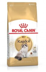 Royal Canin для кошек породы Ragdoll, 10 кг цена и информация | Сухой корм для кошек | hansapost.ee