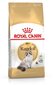 Royal Canin Ragdoll tõu kassidele, 10 kg цена и информация | Kassi kuivtoit ja kassikrõbinad | hansapost.ee