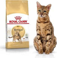 Royal Canin корм для взрослых кошек породы Бенгальские Adult, 2 кг цена и информация | Сухой корм для кошек | hansapost.ee