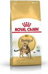Royal Canin корм для взрослых кошек породы Бенгальские Adult, 2 кг цена и информация | Сухой корм для кошек | hansapost.ee