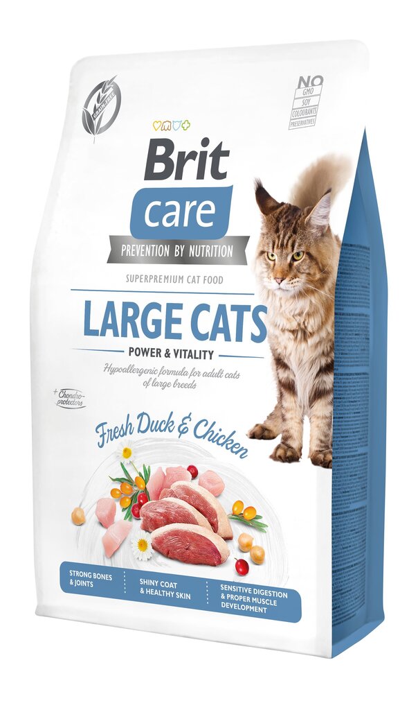 Brit Care Cat Grain-Free Large Cats Power Vitality kassitoit 0,4 kg hind ja info | Kassi kuivtoit ja kassikrõbinad | hansapost.ee