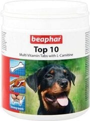 Üldised vitamiinid koertele Beapha Top-10 750 tbl hind ja info | BEAPHAR Lemmikloomatarbed | hansapost.ee