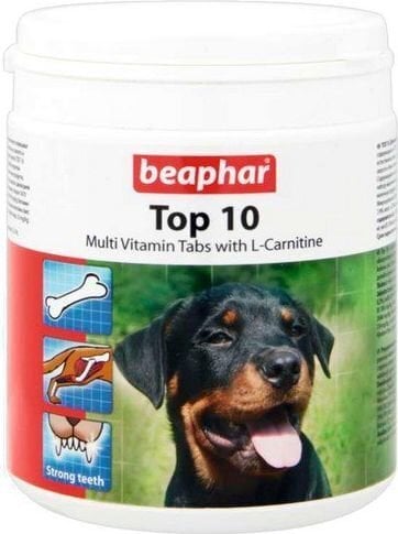 Üldised vitamiinid koertele Beapha Top-10 750 tbl hind ja info | Vitamiinid ja parasiiditõrje | hansapost.ee