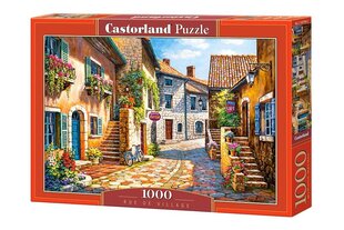 Pusle Puzzle Castorland Rue de Village, 1000 osa hind ja info | Pusled lastele ja täiskasvanutele | hansapost.ee