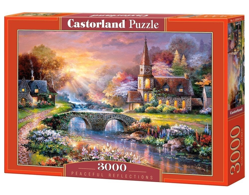 Puzzle Castorland Puzzle Peaceful Reflections, 3000-osaline цена и информация | Pusled lastele ja täiskasvanutele | hansapost.ee