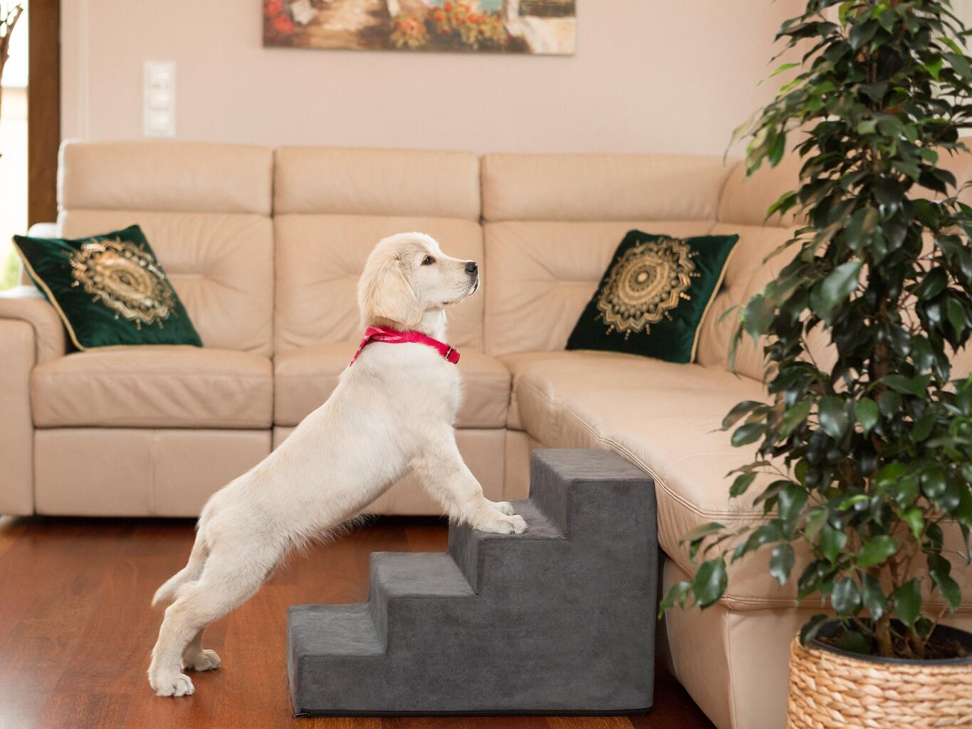 Hobbydog trepp Savoy 4, tumehall, 60x40x40 cm hind ja info | Pesad, asemed | hansapost.ee