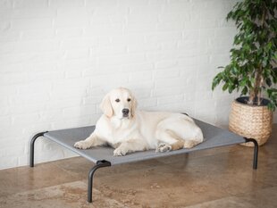 Hobbydog лежак Iron Grey Linen XL, 100x55x20 см цена и информация | Лежаки, домики | hansapost.ee