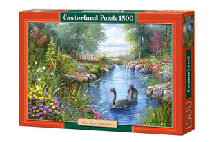 Pusle Castorland Black Swans, 1500-osaline hind ja info | Castorland Lastekaubad ja beebikaubad | hansapost.ee