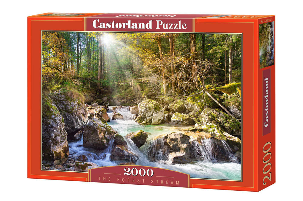 Pusle Castorland The forest stream, 2000 tk цена и информация | Pusled lastele ja täiskasvanutele | hansapost.ee