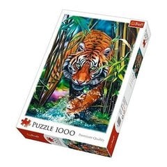 Pusle Trefl Tiger, 1000-osaline цена и информация | Пазлы | hansapost.ee