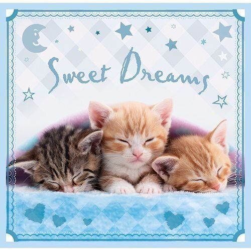 Pusle komplekt Trefl 3 in 1 Sweet Kittens, 20+36+50 hind ja info | Pusled lastele ja täiskasvanutele | hansapost.ee