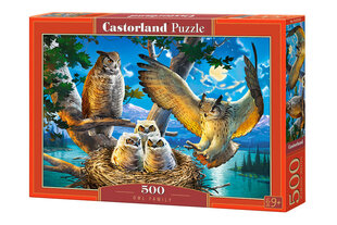 Pusle "Owl Family" Castorland, 500 tk hind ja info | Castorland Lastekaubad ja beebikaubad | hansapost.ee