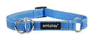Amiplay kaelarihm Reflective, XL, sinine hind ja info | Amiplay Lemmikloomatarbed | hansapost.ee
