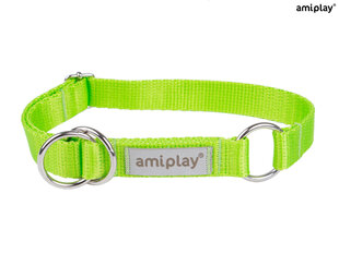 Amiplay poolpoov kaelarihm Samba, XL, Green hind ja info | Amiplay Lemmikloomatarbed | hansapost.ee