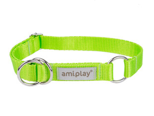 Amiplay poolpoov kaelarihm Samba, XL, Green hind ja info | Amiplay Lemmikloomatarbed | hansapost.ee