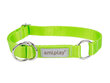 Amiplay poolpoov kaelarihm Samba, XL, Green hind ja info | Koerte kaelarihmad ja traksid | hansapost.ee