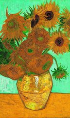 PIATNIK Pusle 1000 Van Gogh hind ja info | Pusled lastele ja täiskasvanutele | hansapost.ee