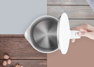 Xiaomi Mi Electric Kettle EU цена и информация | Электрочайники | hansapost.ee