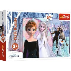 TREFL Pusle 30 Frozen цена и информация | Пазлы | hansapost.ee