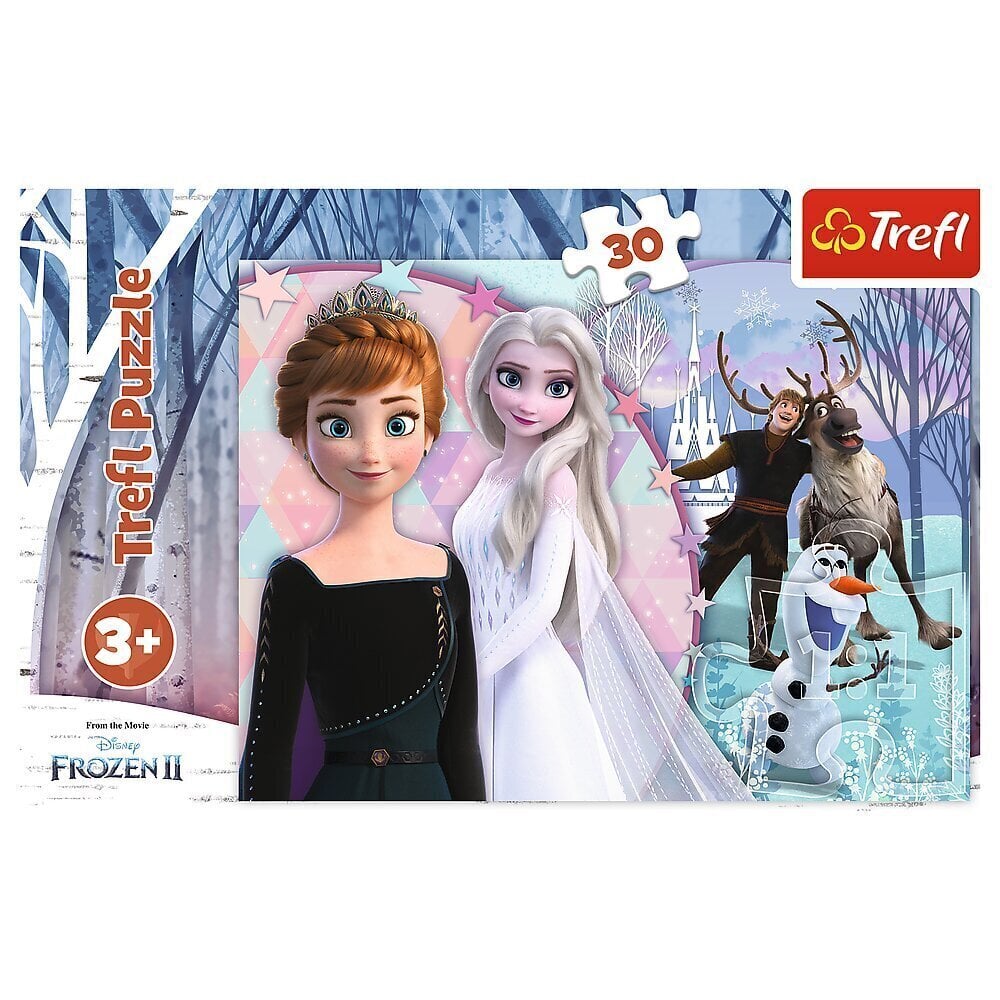 TREFL Pusle 30 Frozen цена и информация | Pusled lastele ja täiskasvanutele | hansapost.ee