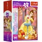 Mini pusle Trefl Princess, 54 d. hind ja info | Pusled lastele ja täiskasvanutele | hansapost.ee