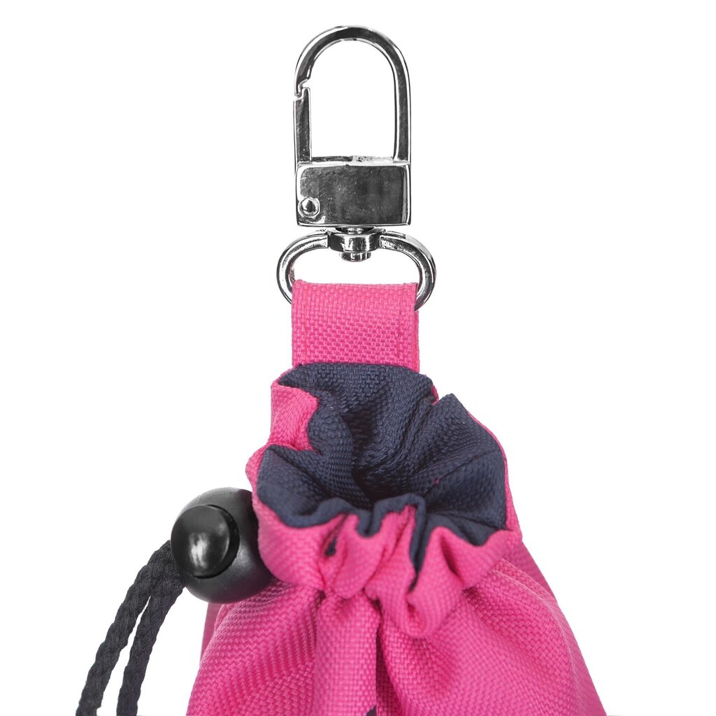 Hobbydog maiustuste kott Pink Bone, 18x5x12 cm цена и информация | Koerte dresseerimiseks | hansapost.ee