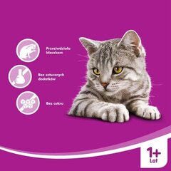 Whiskas лакомство для взрослых кошек Anti-Hairball, 50 г цена и информация | Лакомства для котов | hansapost.ee