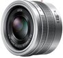 Panasonic LEICA DG SUMMILUX 15mm / F1.7 ASPH. (H-X015E-K) Black цена и информация | Fotoaparaatide objektiivid | hansapost.ee