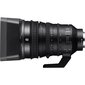 Sony E PZ 18-110mm F4 G OSS | (SELP18110G) hind ja info | Fotoaparaatide objektiivid | hansapost.ee