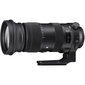 Sigma 60-600mm f/4.5-6.3 DG OS HSM Sports objektiiv Nikonile hind ja info | Fotoaparaatide objektiivid | hansapost.ee