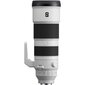 Sony FE 200-600mm F5.6–6.3 G OSS | (SEL200600G) цена и информация | Fotoaparaatide objektiivid | hansapost.ee