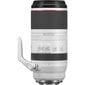 Canon RF 100-500mm f/4.5-7.1L IS USM price and information | Fotoaparaatide objektiivid | hansapost.ee