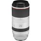 Canon RF 100-500mm f/4.5-7.1L IS USM price and information | Fotoaparaatide objektiivid | hansapost.ee