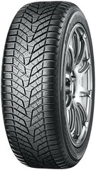 Yokohama W.Drive V905 255/40R19 100 V XL hind ja info | Talverehvid | hansapost.ee