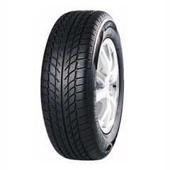 Goodride SW608 195/55R15 89 H XL цена и информация | Зимняя резина | hansapost.ee