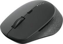 Rapoo M300, черный цена и информация | Компьютерные мыши | hansapost.ee