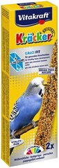 Лакомства с кальцием для волнистых попугаев Vitakraft Kracker, 2 шт. цена и информация | Корм для птиц | hansapost.ee