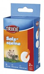 Sool närilistele Trixie, 2 tk. цена и информация | Корм для грызунов | hansapost.ee