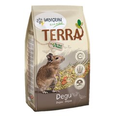 Vadigran täisväärtuslik sööt närilistele Terra 1kg hind ja info | Toit väikeloomadele | hansapost.ee
