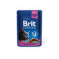 Konserv kassidele kotis Brit Premium Chicken&Turkey 100g x 24 tk hind ja info | Kassikonservid | hansapost.ee