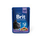 Konserv kassidele kotis Brit Premium Cod Fish 100g x 24 tk цена и информация | Kassikonservid | hansapost.ee