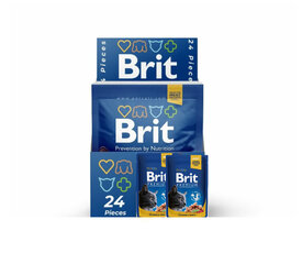 Konserv kassidele kotis Brit Premium Salmon&Trout 100g x 24 tk hind ja info | Kassikonservid | hansapost.ee