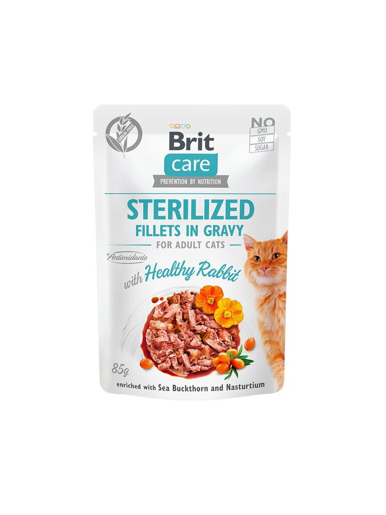 Brit Care Fillets in Gravy Healty Rabbit märgtoit steriliseeritud kassidele 85g цена и информация | Kassikonservid | hansapost.ee