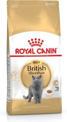 Kassitoit Royal Canin British shorthair 4 kg hind ja info | Kassi kuivtoit ja kassikrõbinad | hansapost.ee
