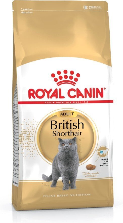 Kassitoit Royal Canin British shorthair 4 kg цена и информация | Kassi kuivtoit ja kassikrõbinad | hansapost.ee