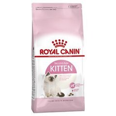 Kassipoegade toit Royal Canin Kitten, 2 kg price and information | Kassi kuivtoit ja kassikrõbinad | hansapost.ee