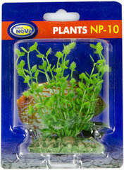 Aqua Nova plastikust taim 10cm hind ja info | Akvaariumi dekoratsioonid | hansapost.ee